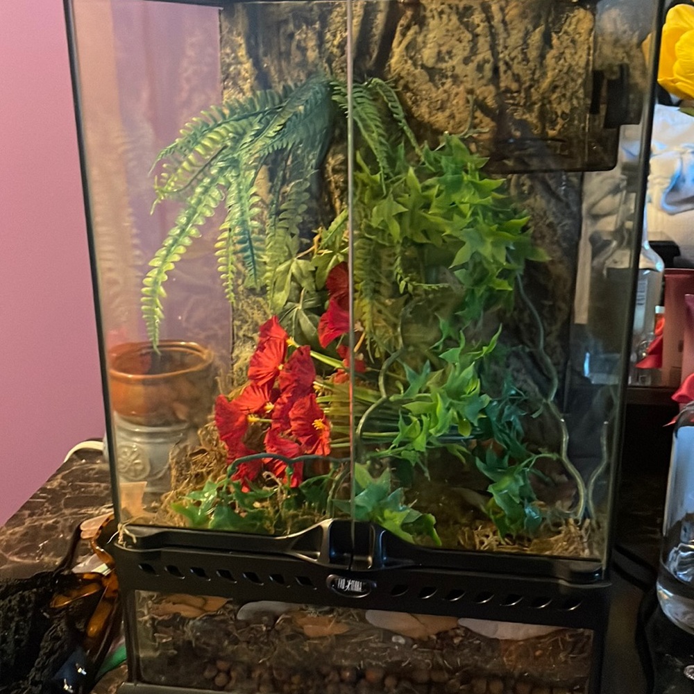 Bio active terrarium enclosure for reptiles